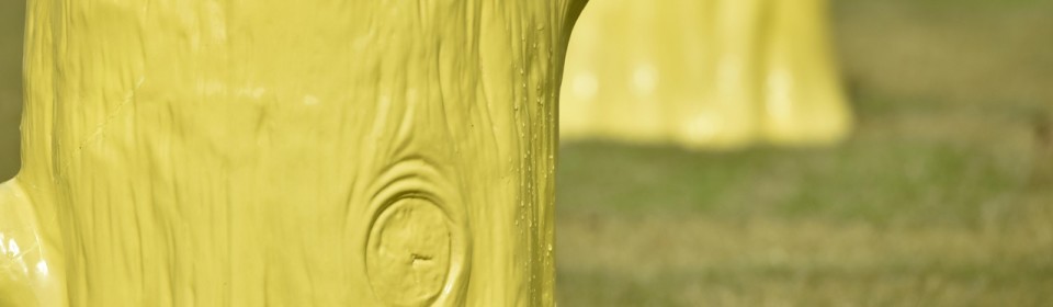 Foundation Myths