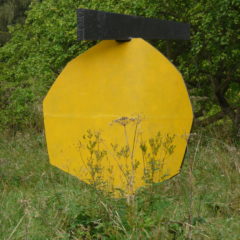 A yellow octagon surrounded by grass and trees.