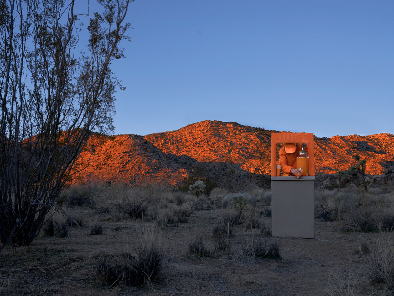 The Aesthetica Art Prize 2025 York Art Gallery