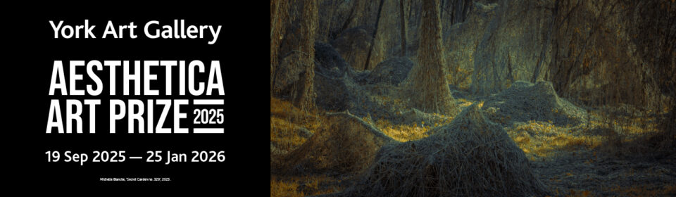 Aesthetica Art Prize 2025